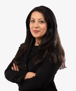 Shabnam Shafiee, Patent Agent, Arent Fox